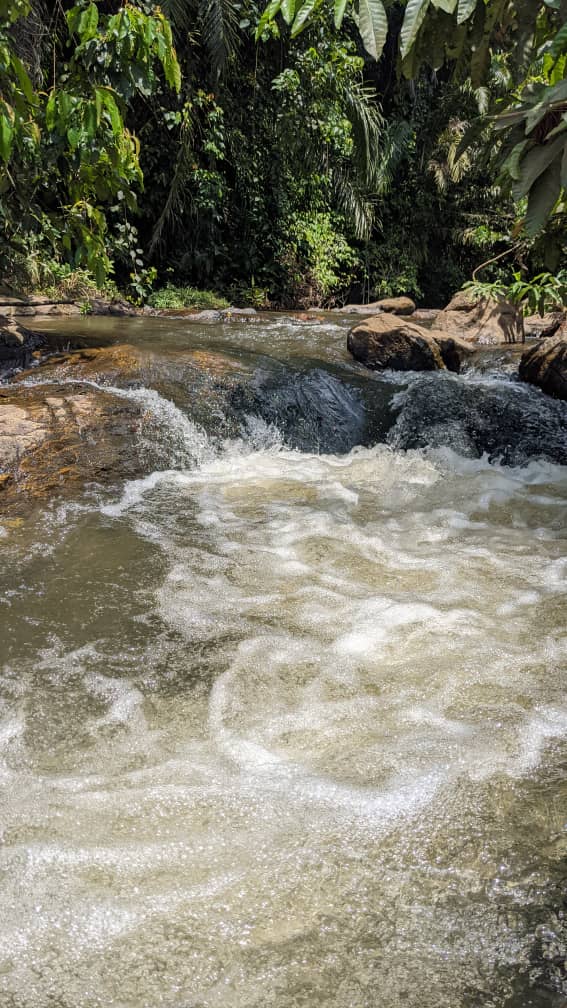 DECOUVERTE: CAP SUR LA RIVIERE « BATIKA »