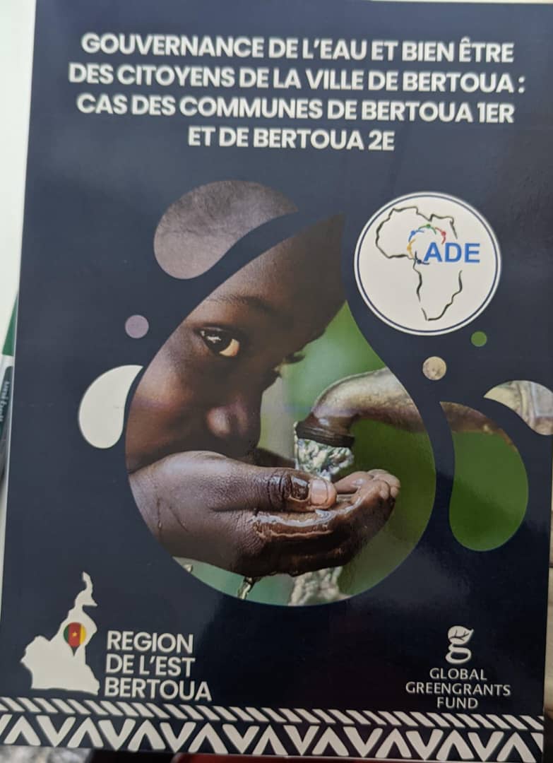 Eau pour tous : A DE plaide en faveur de la ville de Bertoua