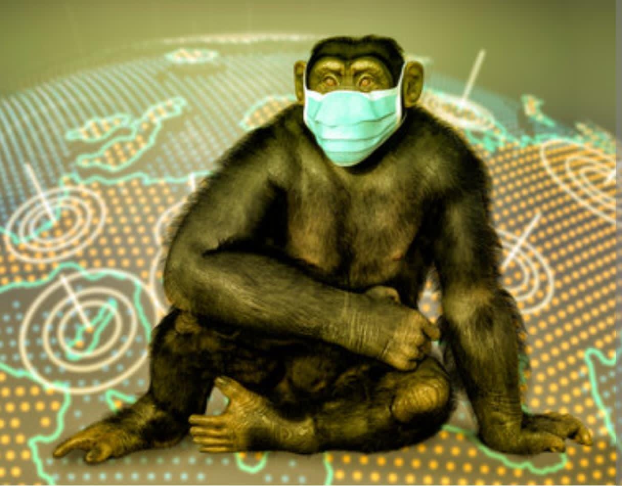 Variole du singe : l’hygiène de vie comme première arme