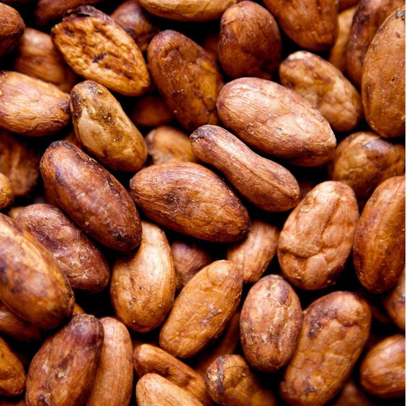 Cacao : Le prix du kilogramme désormais fixé à 4 225 FCFA