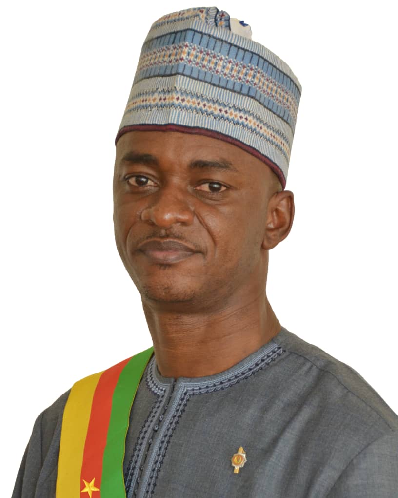 PCRN: Un congrès annoncé sans Cabral Libii